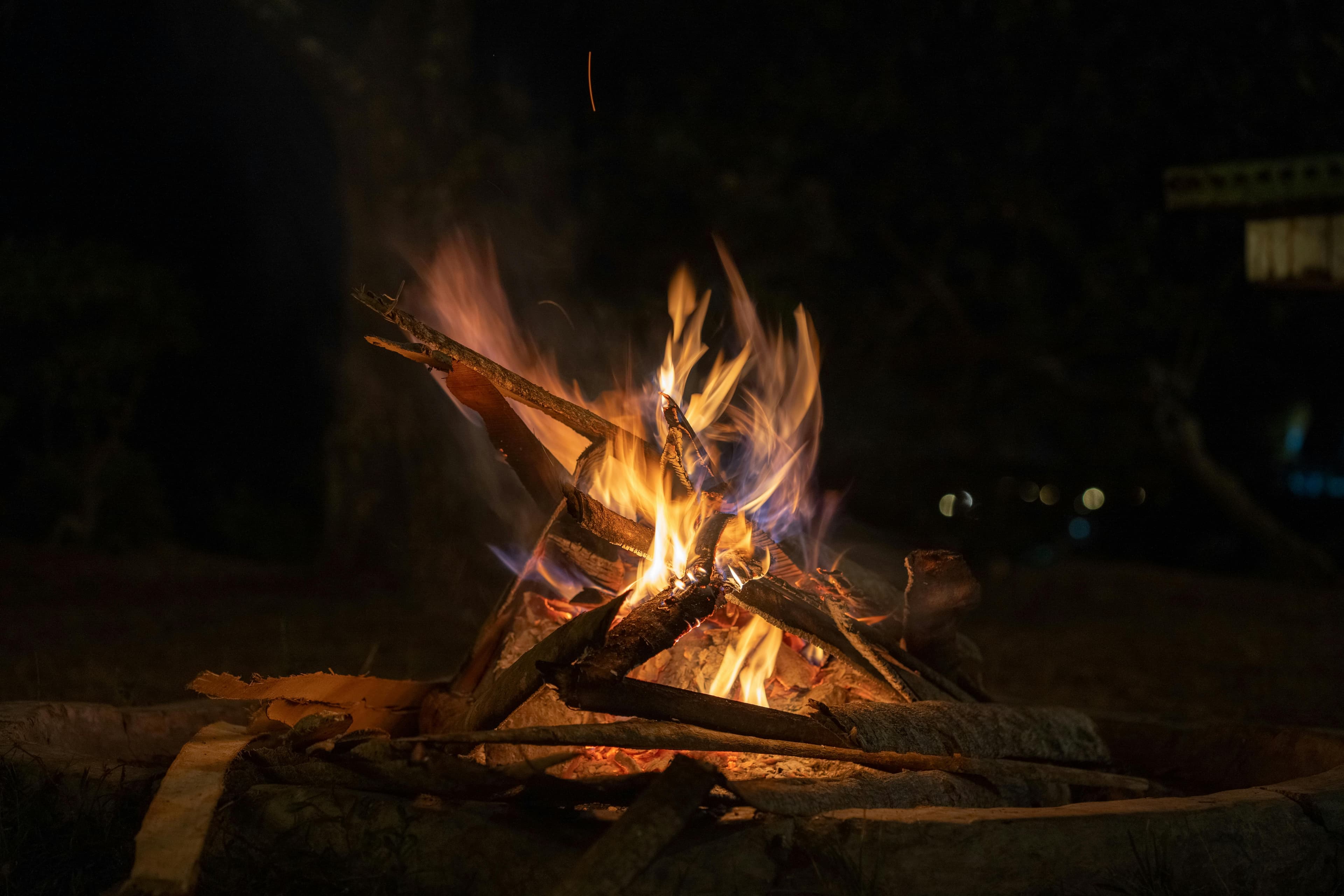 Bonfire dinner